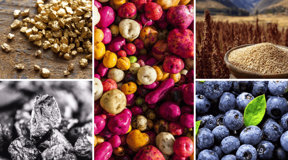 Commodities peruanos: oro, minerales, papas nativas, quinoa y arándanos